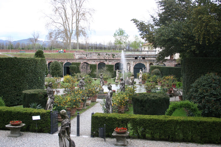 IMG_0348